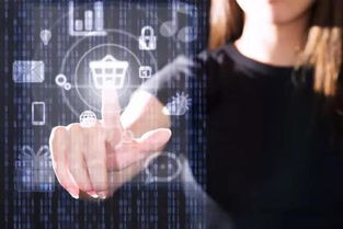 中小學(xué)人工智能課程設(shè)置 推廣編程教育，開發(fā)應(yīng)用軟件，培育未來創(chuàng)新人才